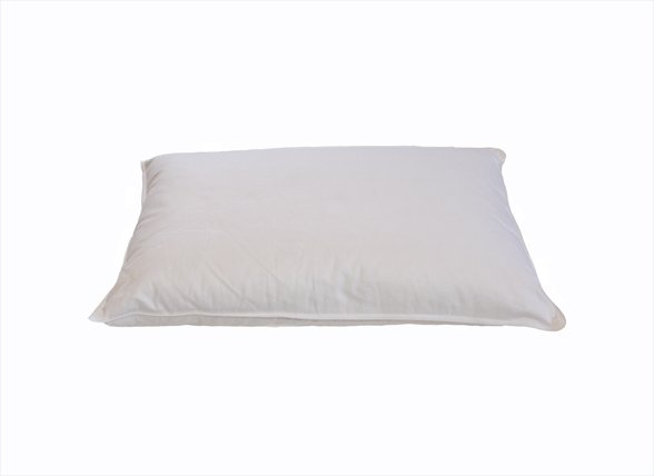 Sleep & Dream kussentje ganzenveren 35x50